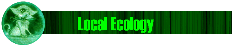 Local Ecology